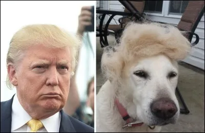 Trump ne boit pas d'alcool mais il a sa propre marque de vodka :