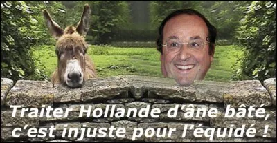 Quelle est la signification première de 'bâté' dans l'expression 'âne bâté' ?