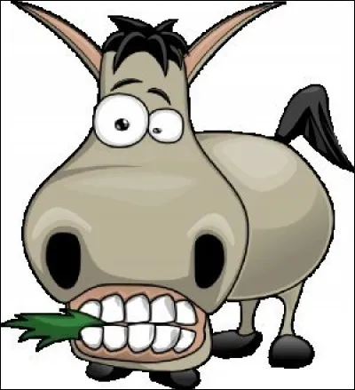 Que signifie l'expression 'C'est kif-kif bourricot' ?