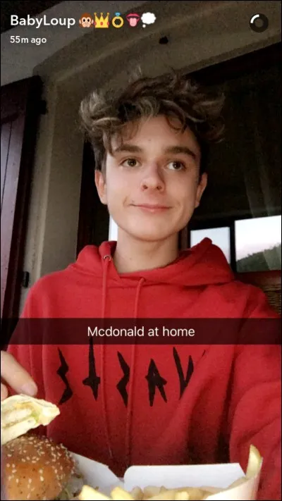 En juillet 2017, Loup a fait une video par jour pendant 2 semaines. Elles s'appelaient "15jouravecLoup" pourquoi les a-t-il arrêtées ?