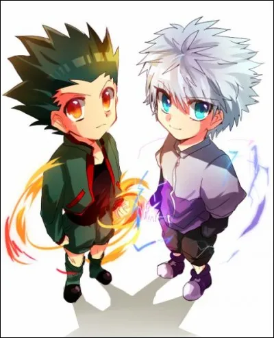 D'où viendrais-tu si tu étais dans "Hunter x Hunter" ?
