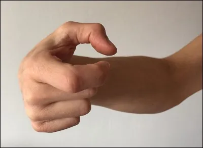 C'est le nom d'un style de combat à mains nues dans les arts martiaux chinois (Kung-Fu).