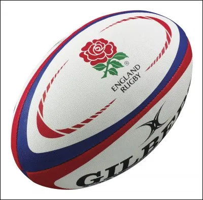 Quel joueur anglais est devenu la risée de beaucoup de supporters ?