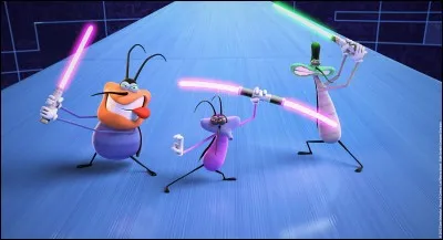 Combien y a-t-il de saisons ?