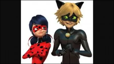 Quel est l'ennemi de Chat noir et Ladybug ?