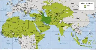 Le sunnisme et le chiisme sont les deux grandes branches de l'Islam, dans quelle proportion ?