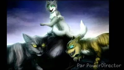 Ton chef te nomme (enfin) lieutenant :