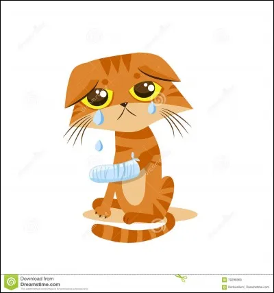 Tu te blesses et apprends que cette blessure t'empêchera de devenir guerrier :