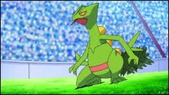 Quiz Pokemon