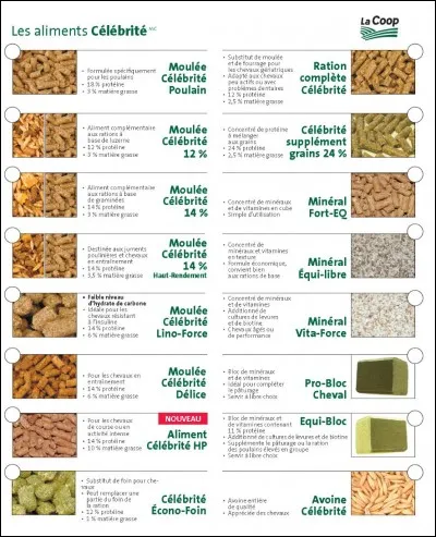 Alimentation : quel est le bon ordre ?