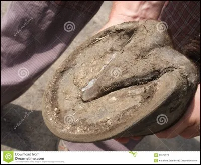 Quel est le bon ordre ?