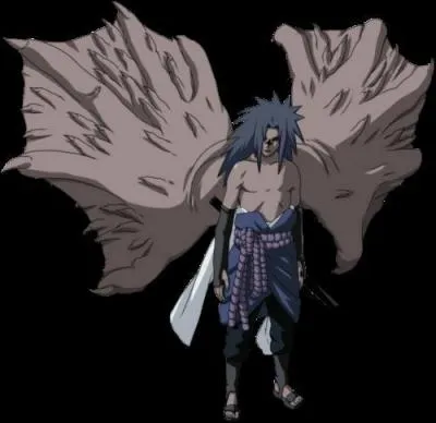Pourquoi Sasuke se transforme-il ainsi ?