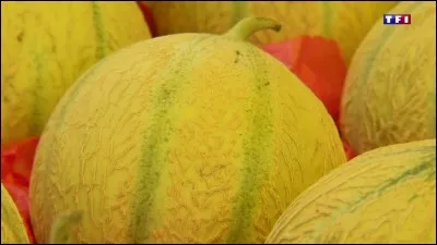 Quel surnom donne Luna à Matteo ?