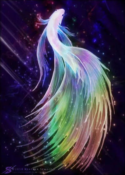 L'espérance de vie du betta est de :