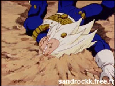 Combien de fois Vegeta meurt-il dans DBZ ?