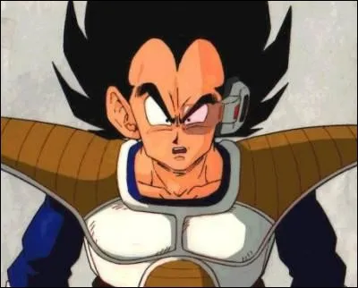 Lors du premier combat entre Son Gokû et Vegeta, combien le détecteur de Vegeta affiche-t-il ?