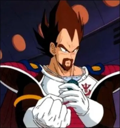 Qui est l'asssasin du père de Vegeta ?
