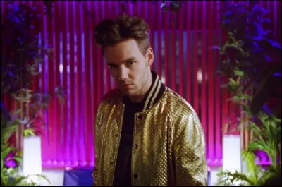 Quel membre des One Direction a chanté "Strip That Down" ?