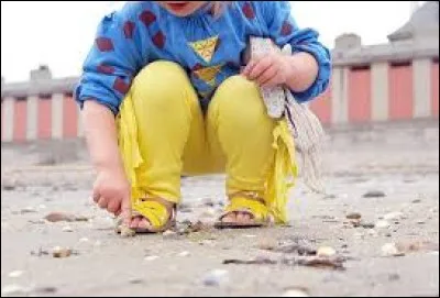 Au Croisic, que peut-on faire ? (voir image)