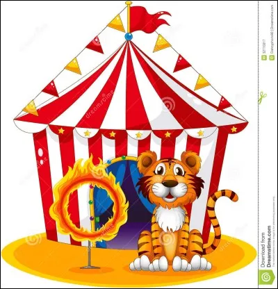 Un petit tour au cirque pour vous faire rire. Que peut-on voir là-bas ?