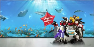 L'Océarium du Croisic accueille plus de 250 000 visiteurs par an, ce qui en fait le onzième aquarium de France en termes de visites.