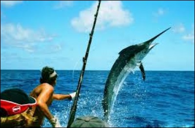 La pêche sportive nécessite une licence sportive.