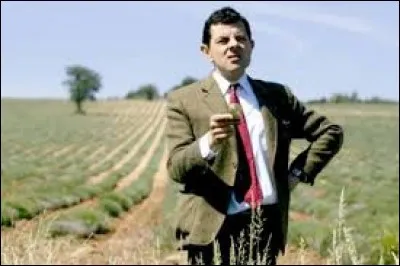 Quel est le titre de ce film britannique de Steve Bendelack ?