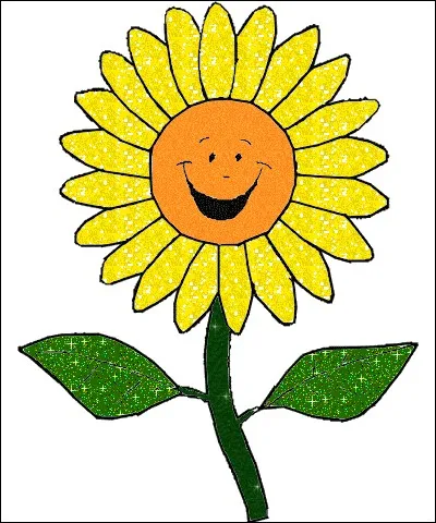 Les fleurs de tournesol suivent le mouvement du soleil, au cours de la journée :