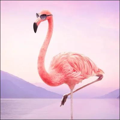 Quel groupe mythique a créé 'The wall' ?