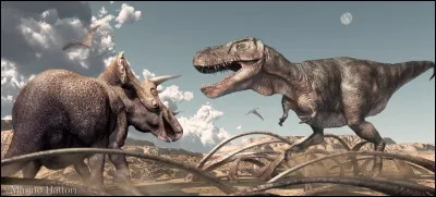 Tu préfères être...