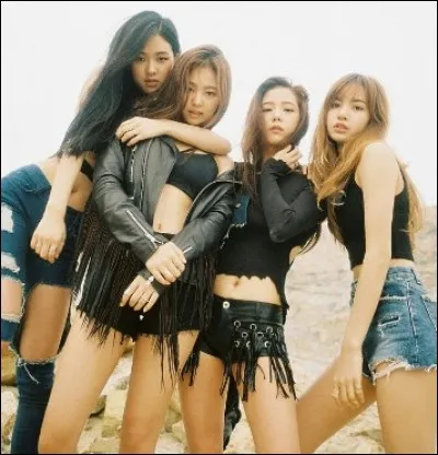 Elles ont commencé le :