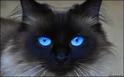 En 1951, Edith Piaf chantait "Plus bleu que le bleu de tes yeux, je ne vois rien de mieux, même le bleu des cieux".
Quel célèbre chanteur a composé cette chanson ?