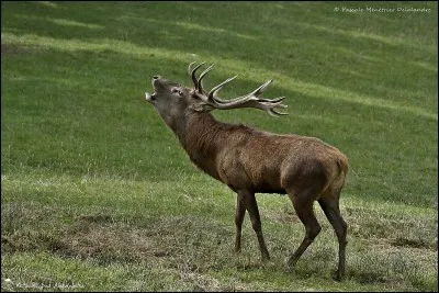 Comment appelle-t-on cela ?