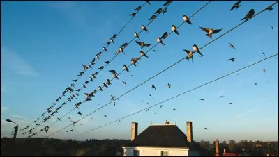 Comment est appelé ce phénomène ?