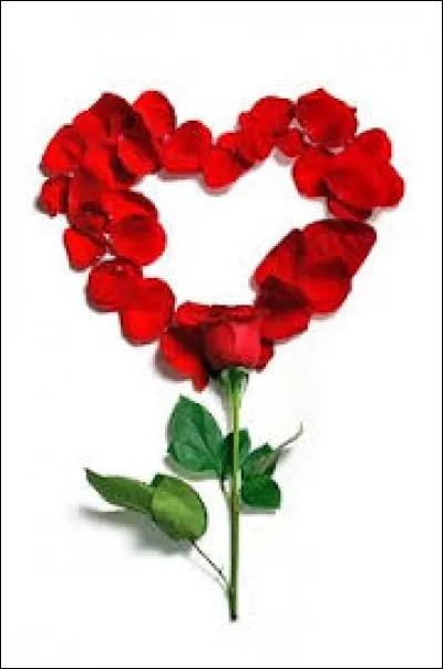 Quelles sont les couleurs préférées de Gloria ?