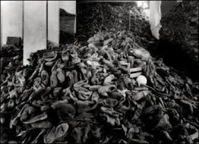 En quelle année ce film est-il sorti ?