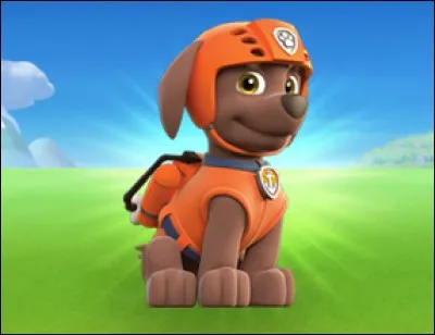 Clique sur le nom de ce chien.