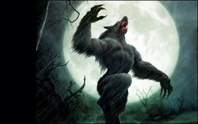 Retrouvez les interprètes de "Nuit de Folie" !