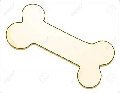 Quel est votre objet préféré ?