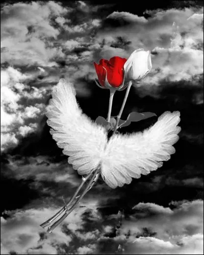 Et si votre score est un lamentable échec, rien ne va plus, qu'est-il possible de dire ?