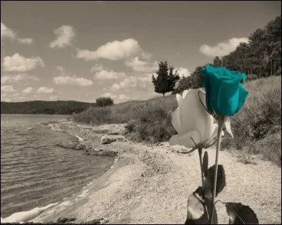 Quel est le titre de cet album d'Arthur H, qui est l'antonyme d'un roman célèbre de Françoise Sagan ?