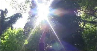 Quelle affirmation est vraie ?