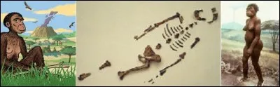 Histoire - Dans quel pays a-t-on découvert les ossements de Lucy, l'Australopithèque la plus connue ?
