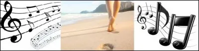 Musique - Qui aime regarder les filles qui marchent sur la plage ?