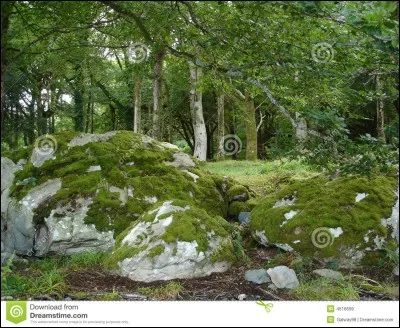 Je fais partie de la mythologie celtique irlandaise. Je crie la nuit et, d'après la légende, j'annonce la mort à qui m'entendra hurler. Qui suis-je ?