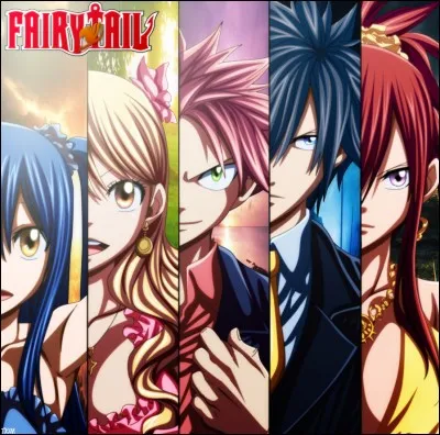 Quel est ton personnage préféré de "Fairy Tail" ?