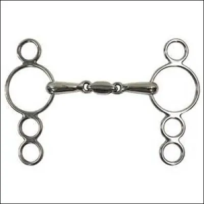 Quel est le nom de ce mors ?