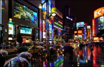 Quelle est cette ville située au Japon ?