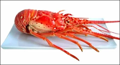 La table 29 souhaite manger des langoustes.
Comment dit-on "langouste" en anglais ?