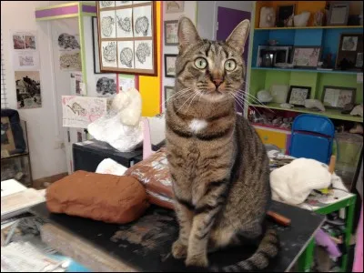 Sauriez-vous situer à quand remonte le mot chat pour la première fois dans la langue française ?